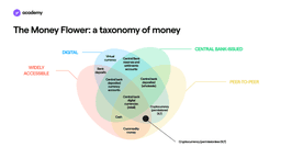 money taxonomy