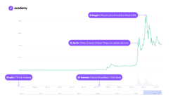 Dogecoin: Com'è Nata e il suo Utilizzo