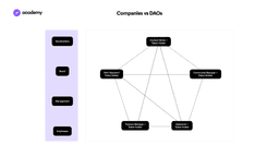 companies vs daos
