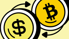 Moneta fiat vs criptovalute: differenze e opportunità