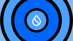 Sui: che cos’è e come funziona