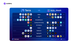 LUNA: Learn How the Terra Blockchain Works