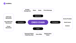 ondo chain
