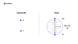 The fundamental role of qubits