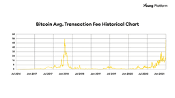 bitcoin transaction fees