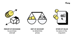 The nature and history of fiat currencies
