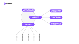 Elrond : une blockchain évolutive pour eGold