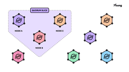 stellar quorum slice