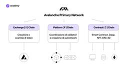 avalanche primary network schema