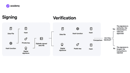 How do private and public keys work?