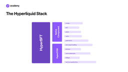 Hyperliquid: decentralised exchange or blockchain?