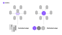 centralizzazione vs decentralizzazione