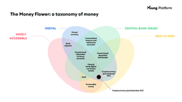 money taxonomy