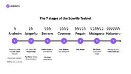 The 7 stages of the Scoville Testnet