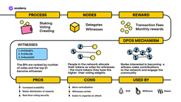 delegate proof of stake