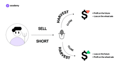 I Derivati in Finanza Tradizionale e nella DeFi