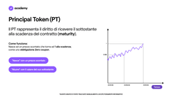 Principal Token (PT)