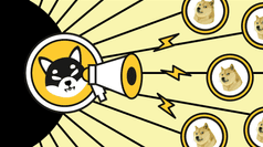 Shiba Inu: Much More than a Dogecoin Killer