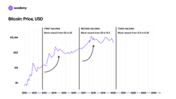 Creating a Well-Balanced Crypto Portfolio