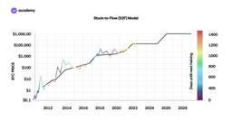 Stock-to-Flow (S2F) Model