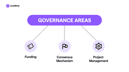 governance area