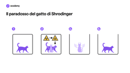 paradox of shrodinger cat