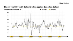 bitcoin volatility vs dollar