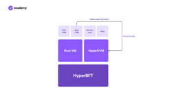 Hyperliquid: decentralised exchange or blockchain?