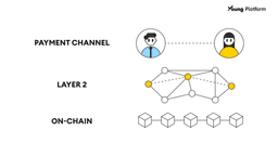 lightning network