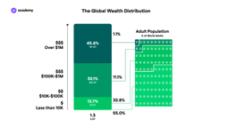 global wealth distribution