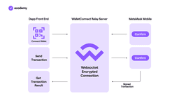 come funzionane Wallet Connect 