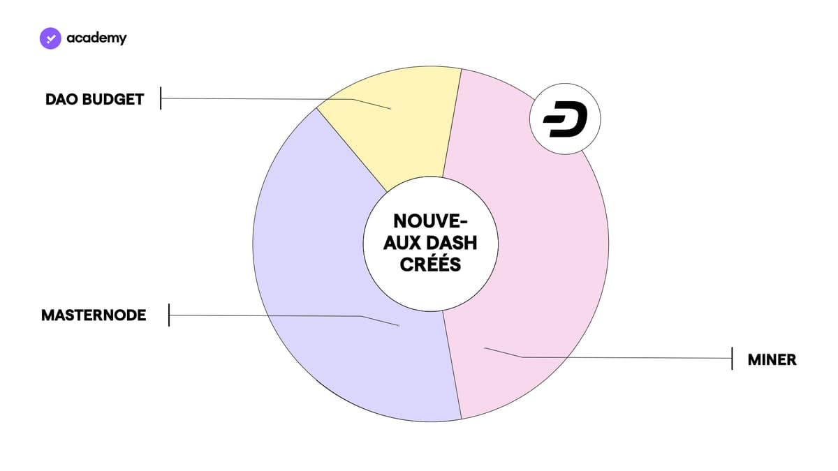 nouveaux aux dash crees