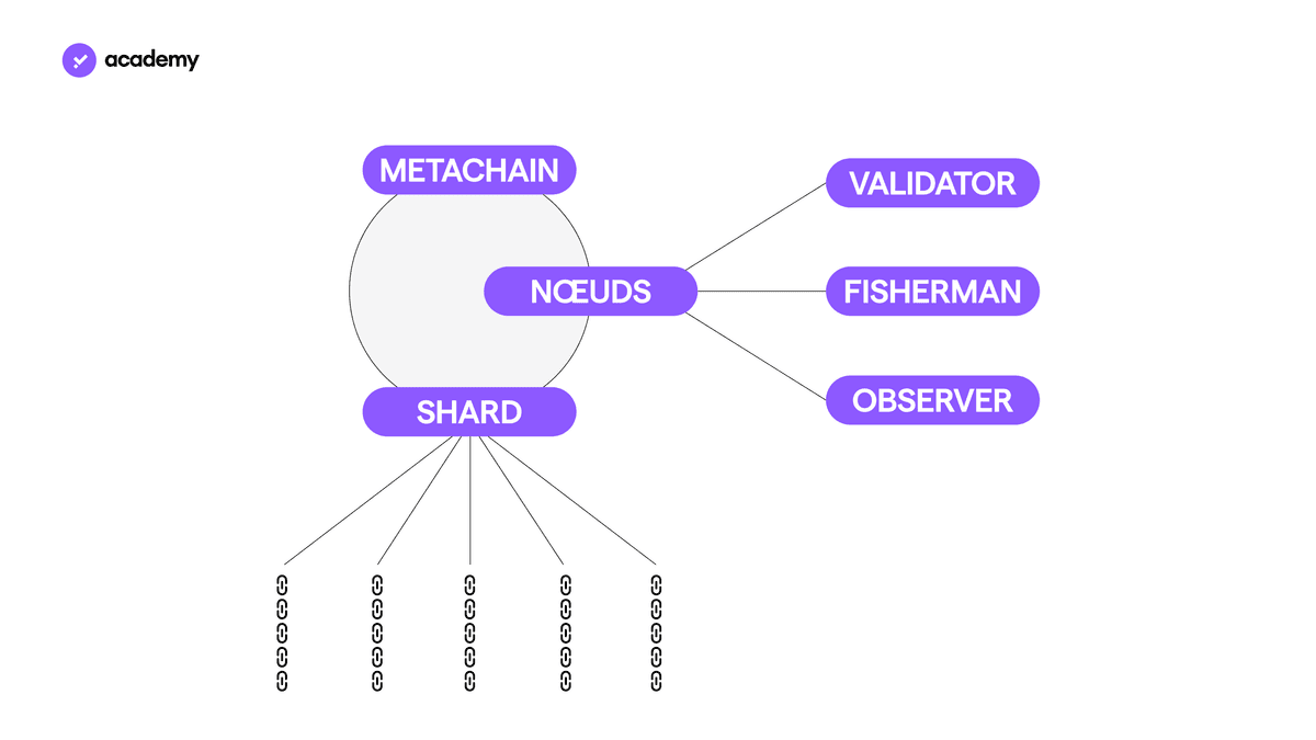 Elrond : une blockchain évolutive pour eGold
