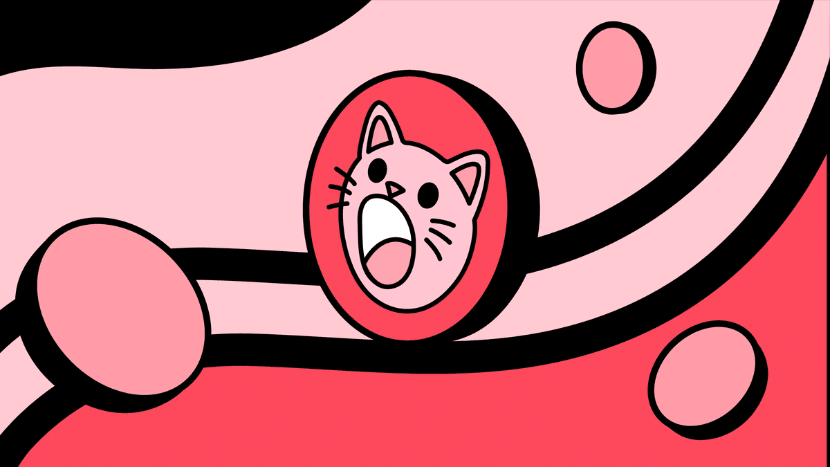 Popcat: what it is and how it works