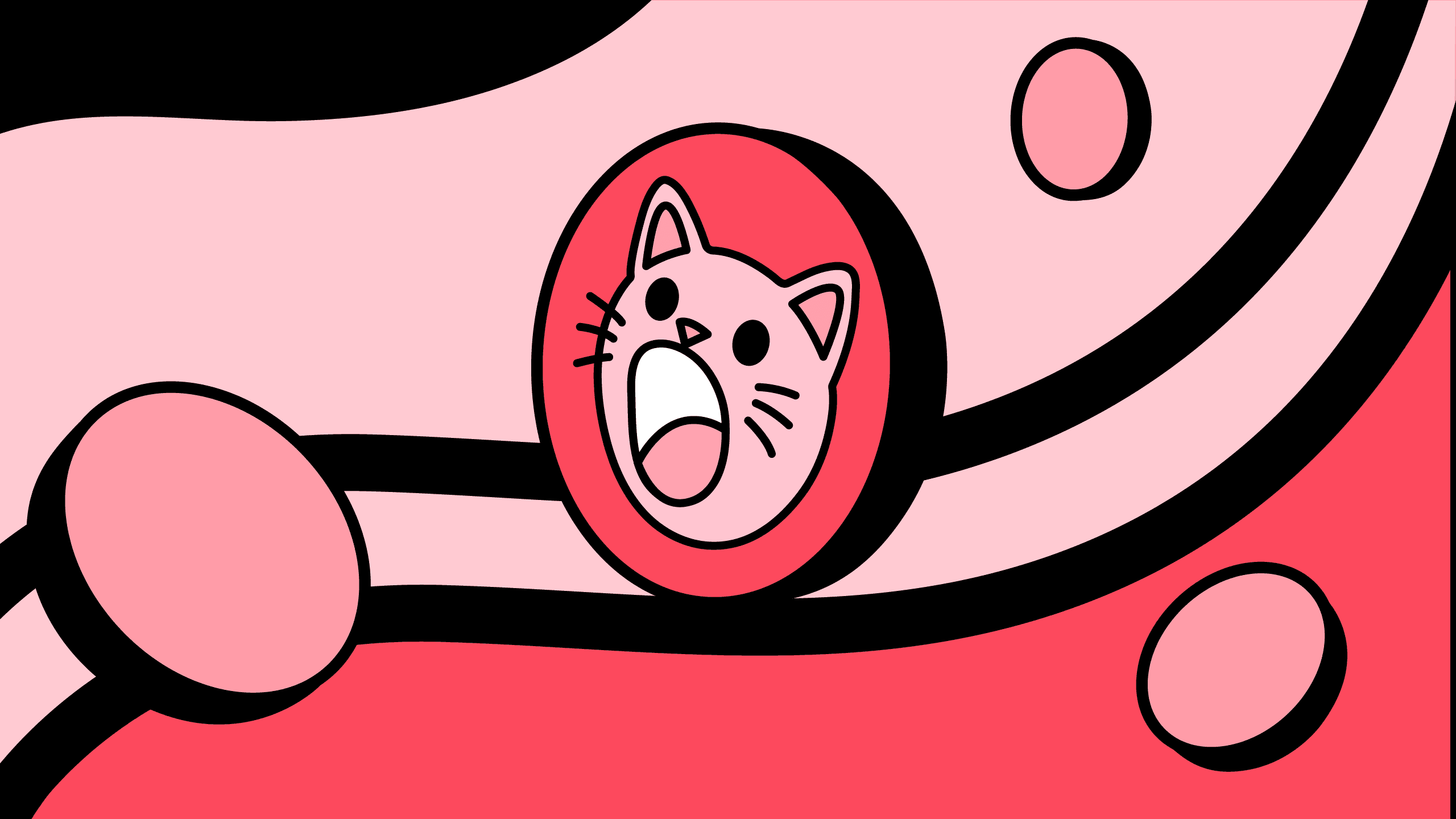 Popcat: what it is and how it works