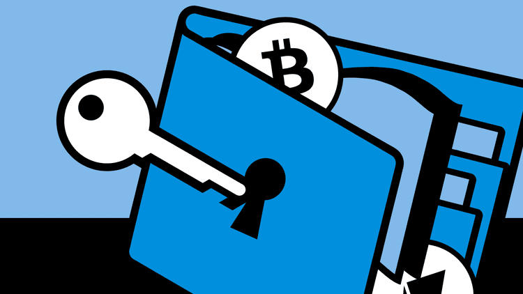 The differences between Public and Private keys of crypto wallets