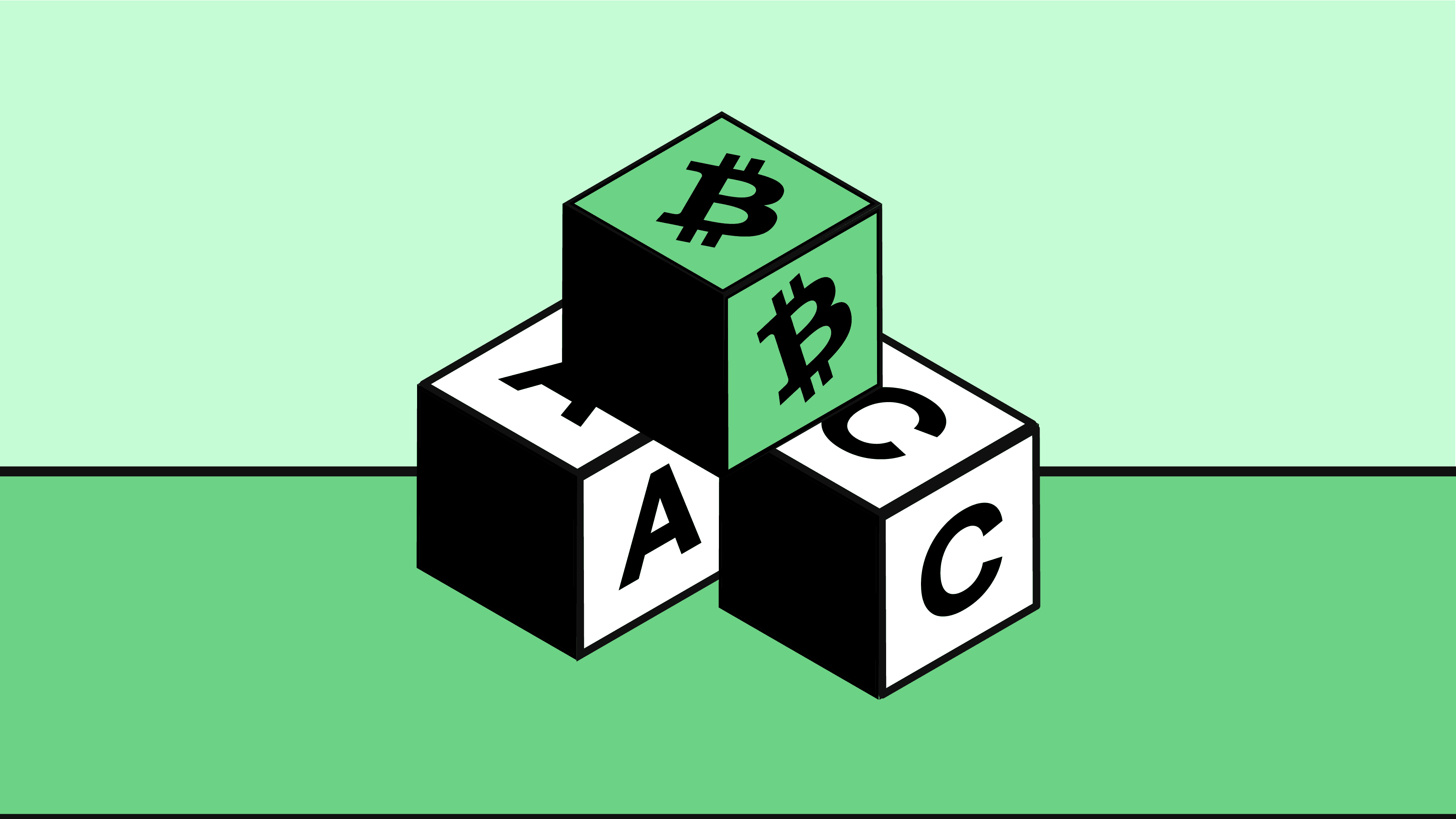 Roger Ver