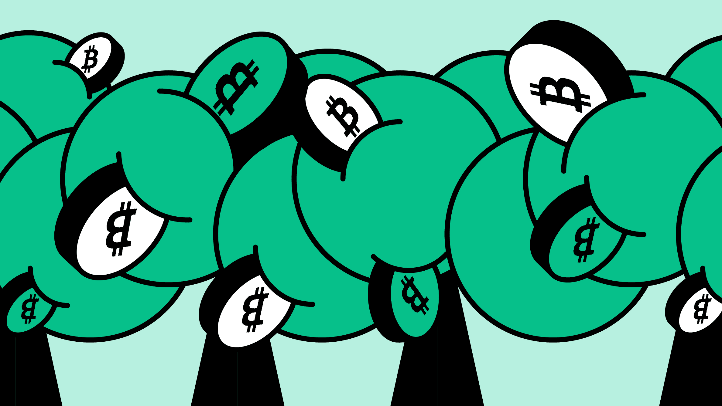 bitcoin cash