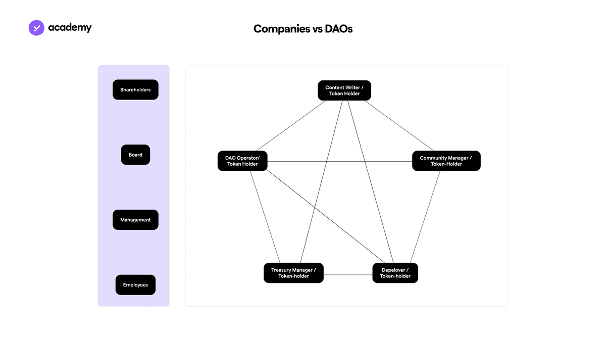 companies vs daos