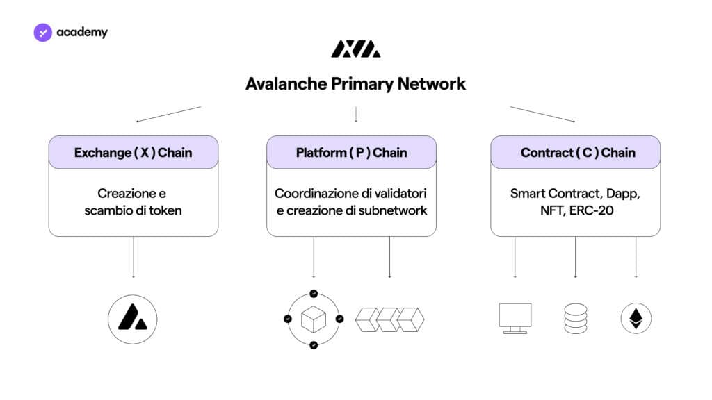 avalanche primary network schema