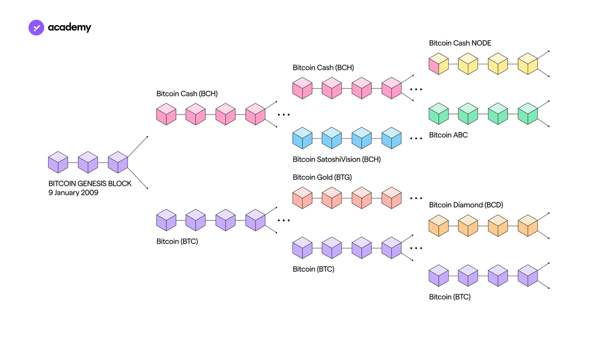Bitcoin Cash: the Dawn of a New Hard Fork