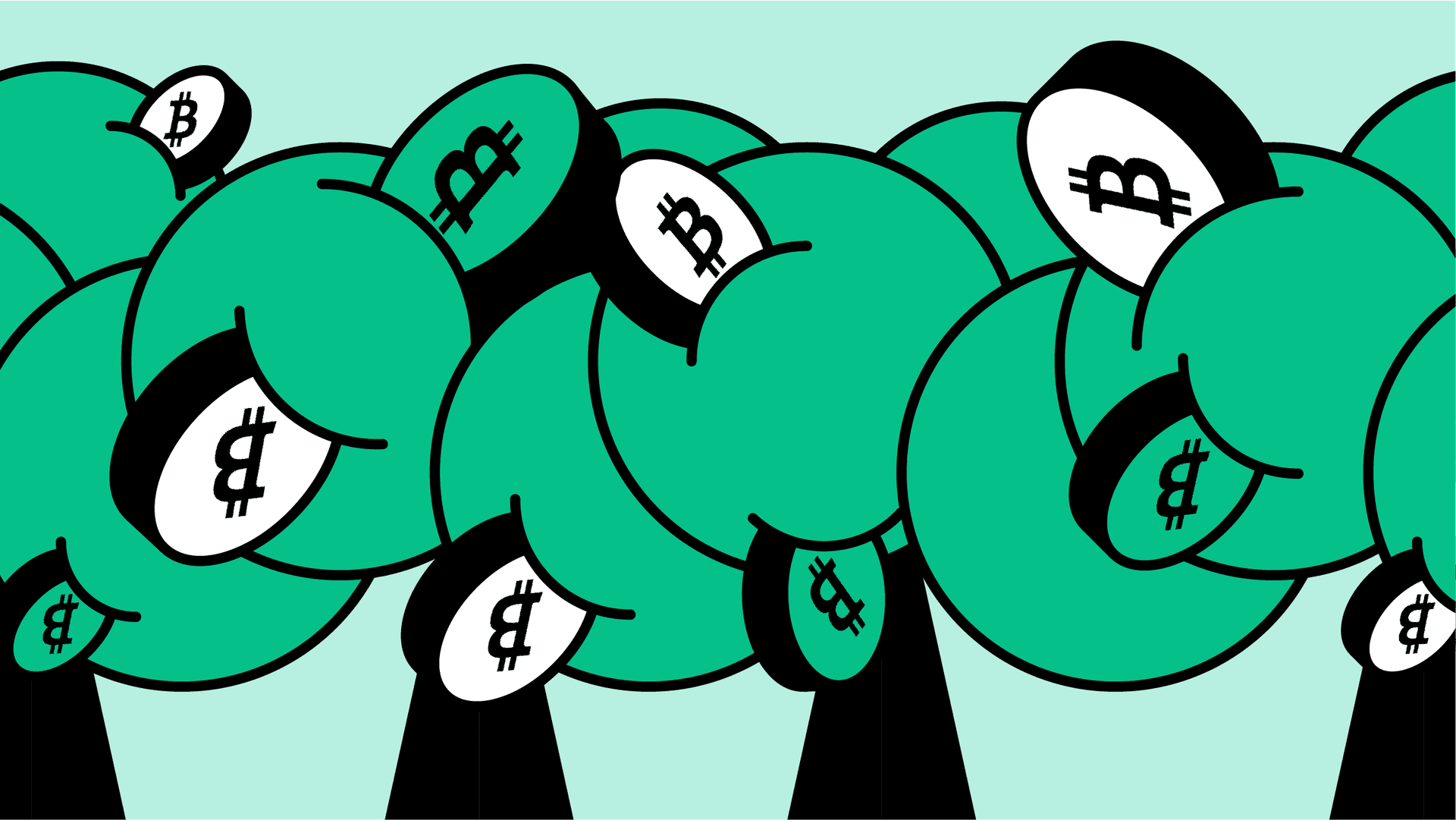 bitcoin cash young platform